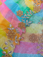 Organza embroidery work saree